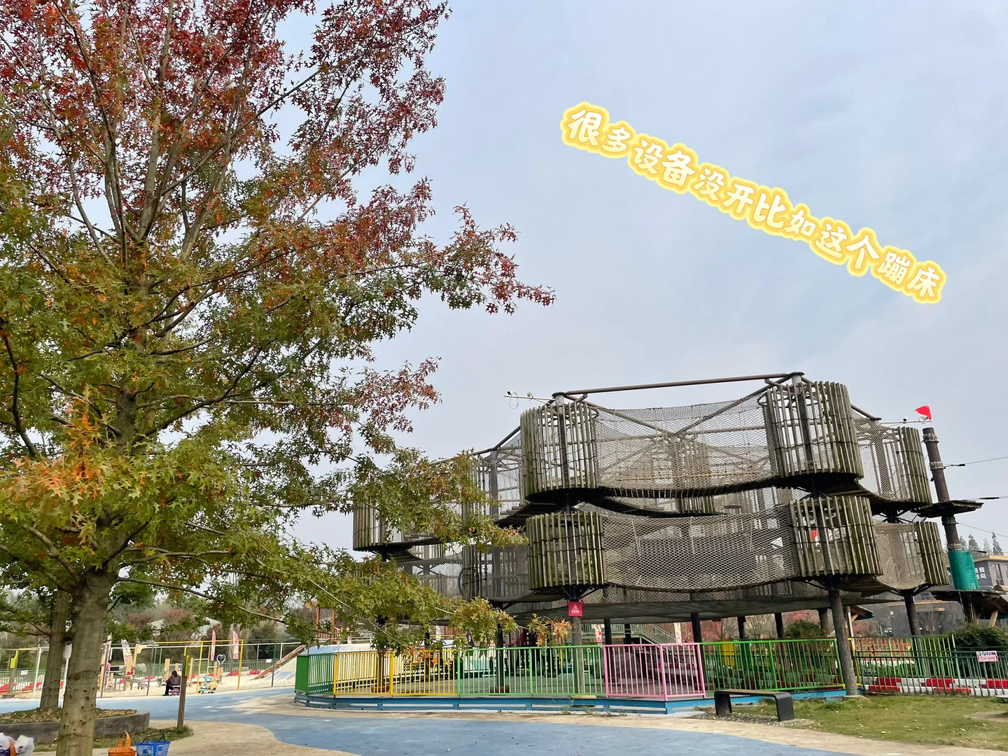 #温江绿康蔬菜家庭农场蔬菜采摘