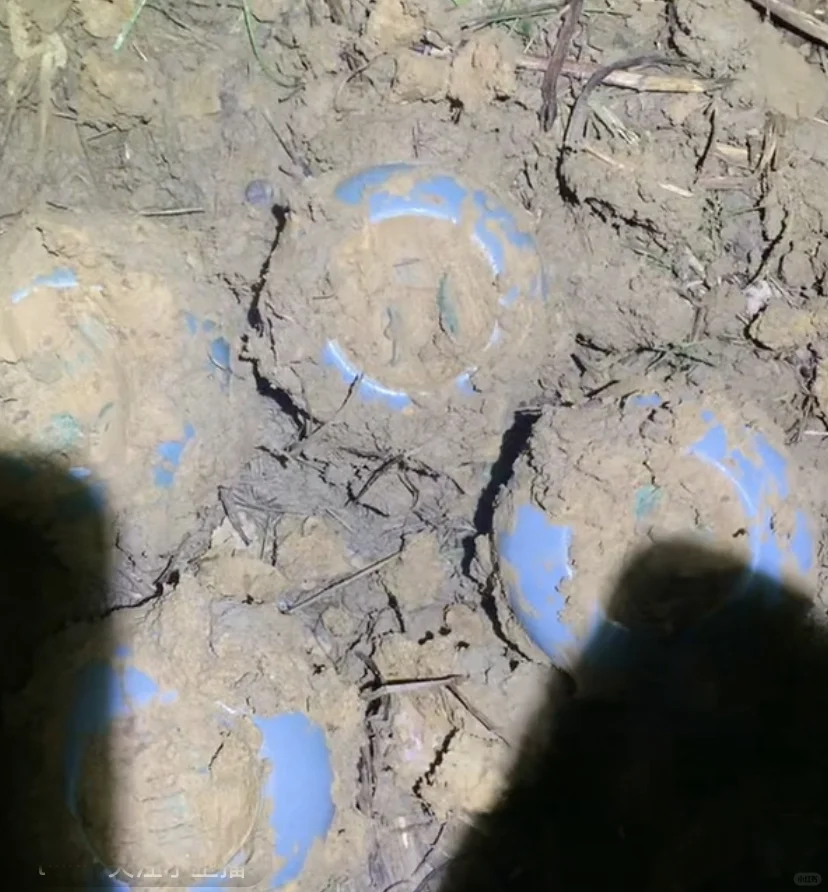 揭露一个内容特别炸裂的直播间