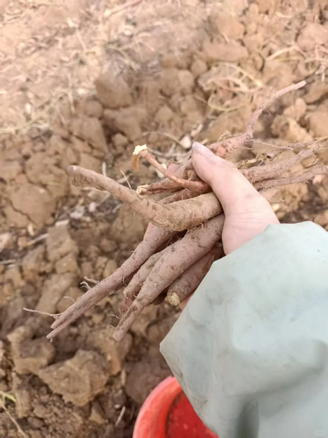 家里有200亩的家庭农场，不知道怎么利用