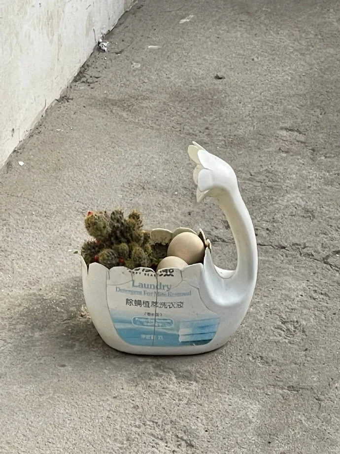 妈妈的智慧！她才是真正的生活家！