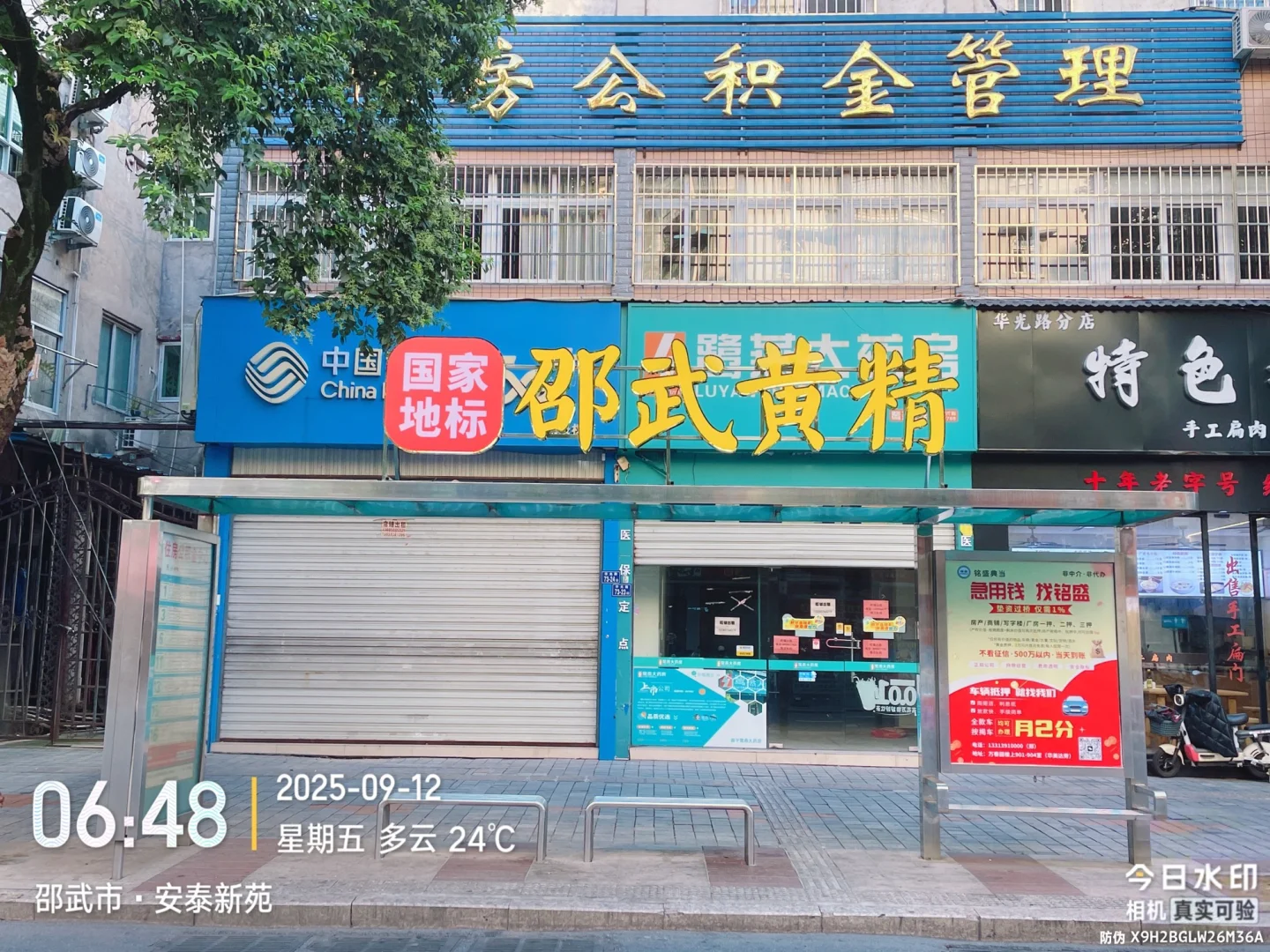 邵武黄精为福建省重点发展中药材品种之一