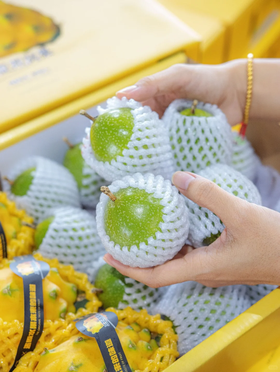 让农业成为有意义的事业！