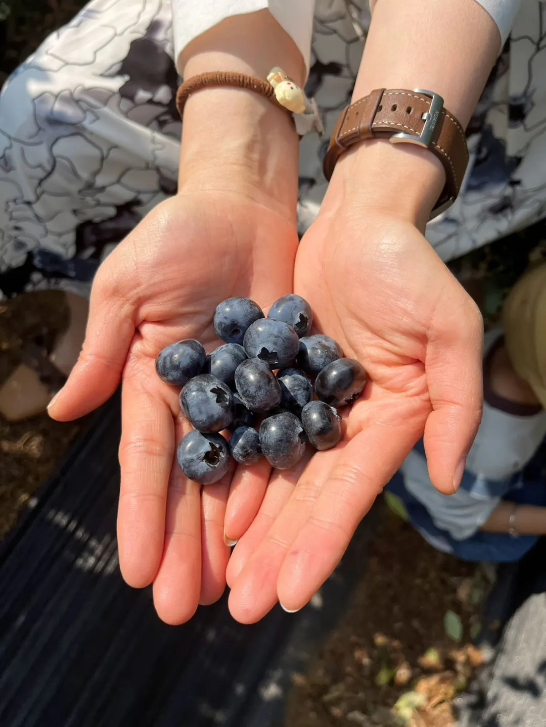 让农业成为有意义的事业！