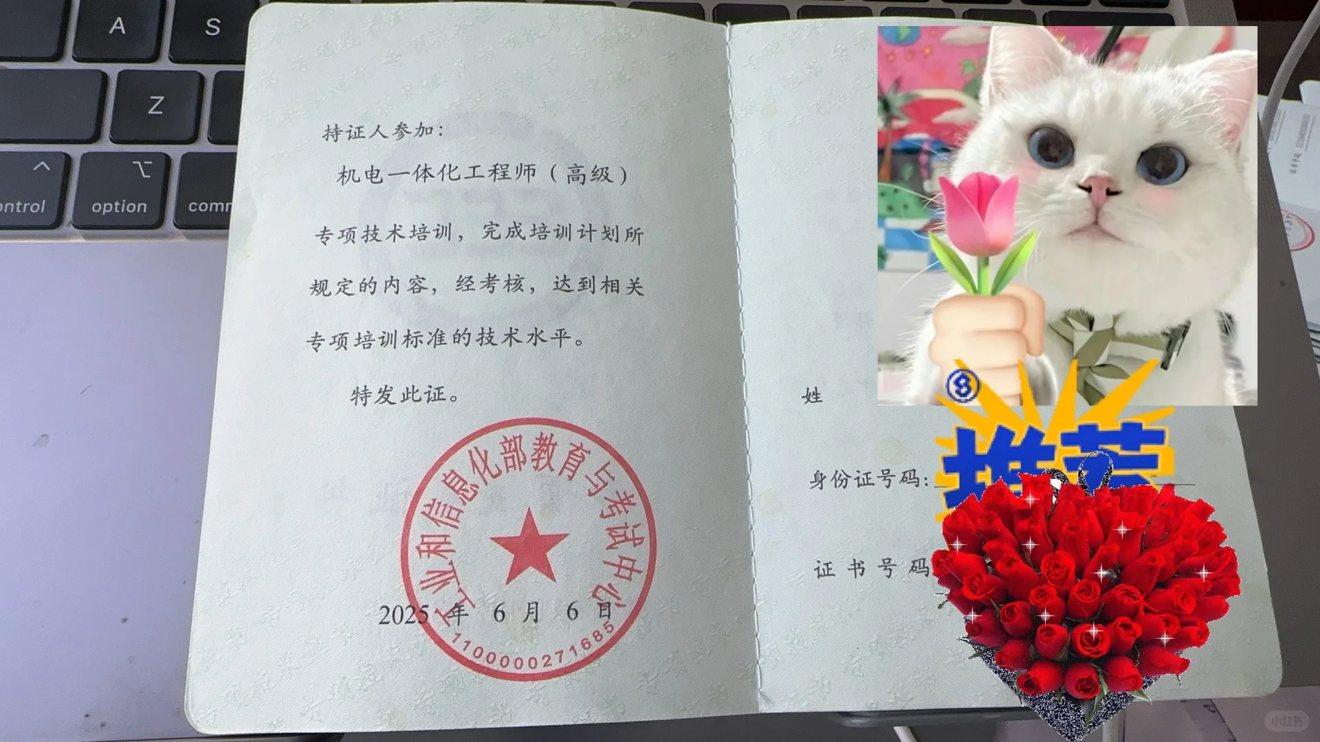 ? 机电一体化工程师证入职三年，工资翻倍?