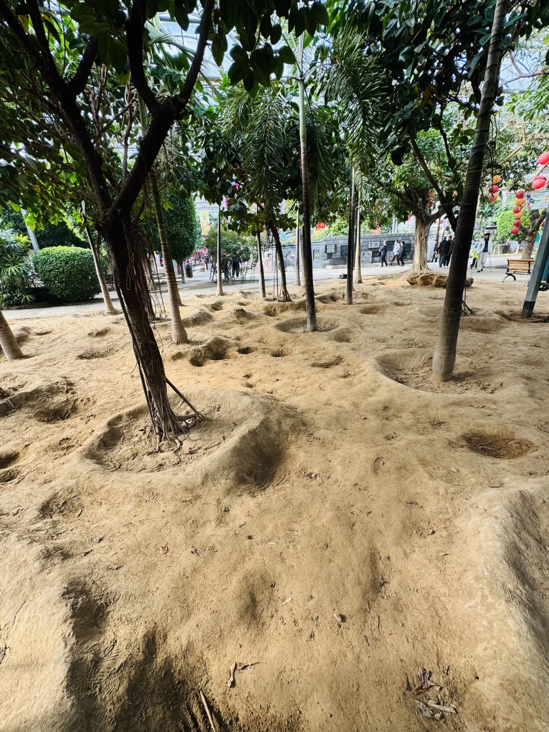 感受廊坊人民的阳光房快乐