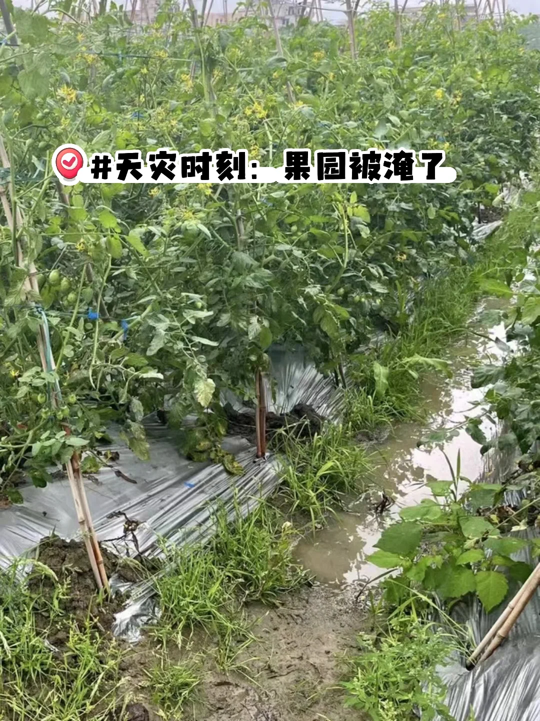 让农业成为有意义的事业！