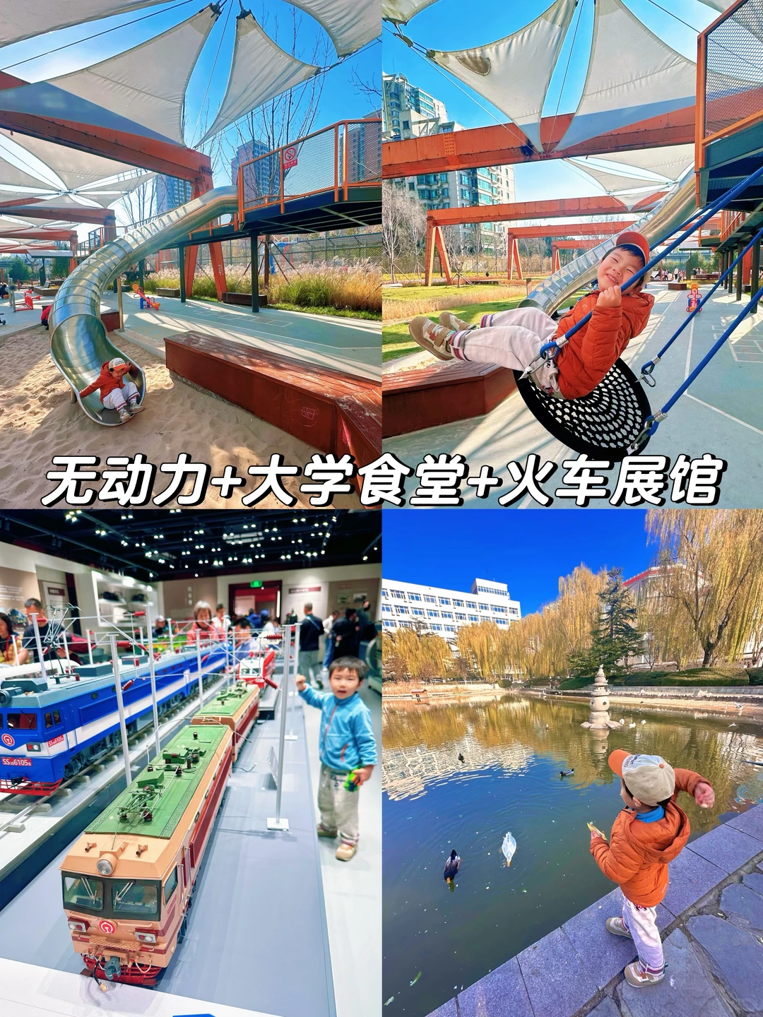 绝杀❗️无动力+大学食堂+火车展馆+喂动物