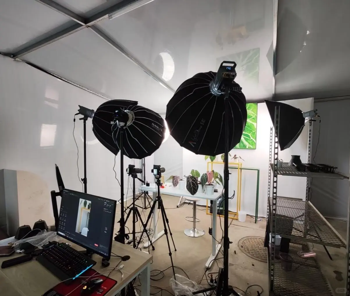 苏州本地直播设备出租?️月付800?上门搭建