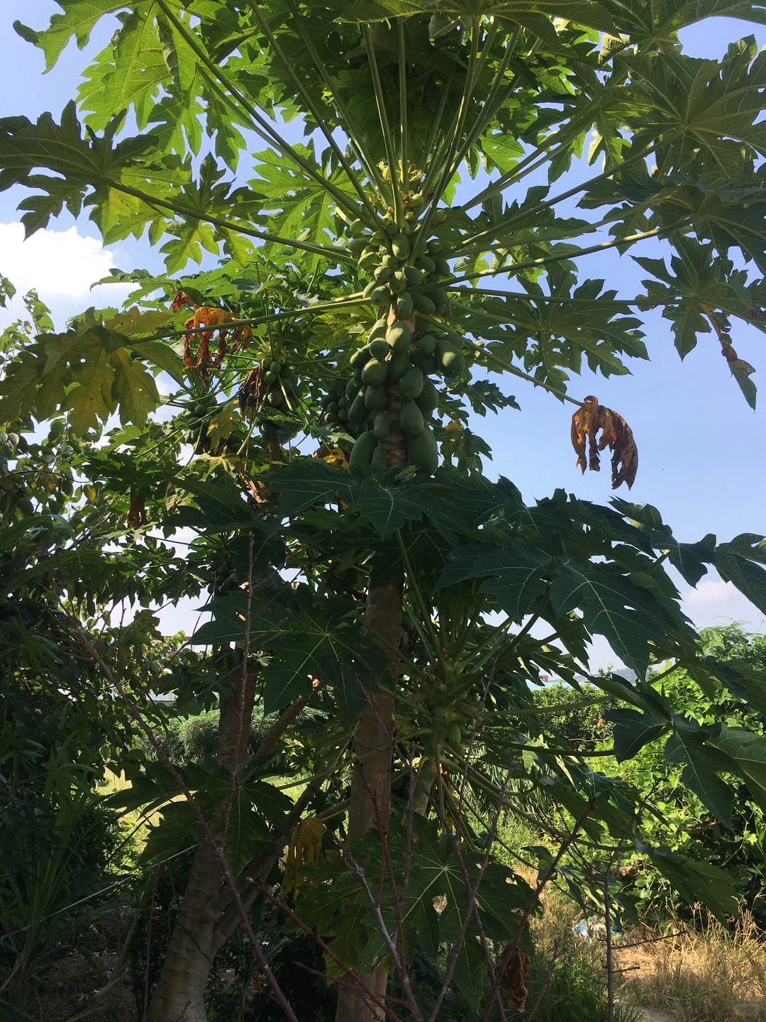 让农业成为有意义的事业！