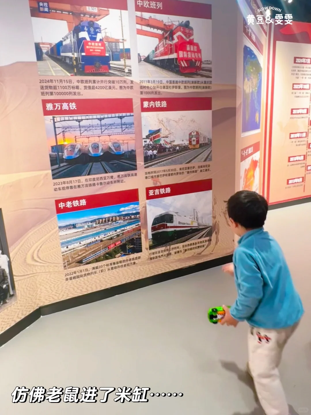 绝杀❗️无动力+大学食堂+火车展馆+喂动物