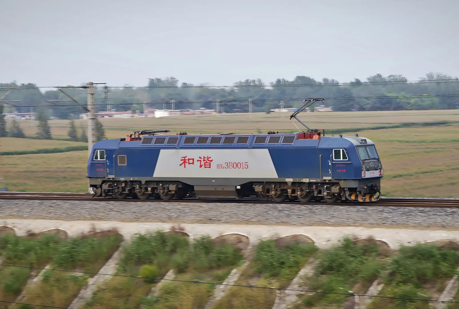 看看你手机里拍的火车