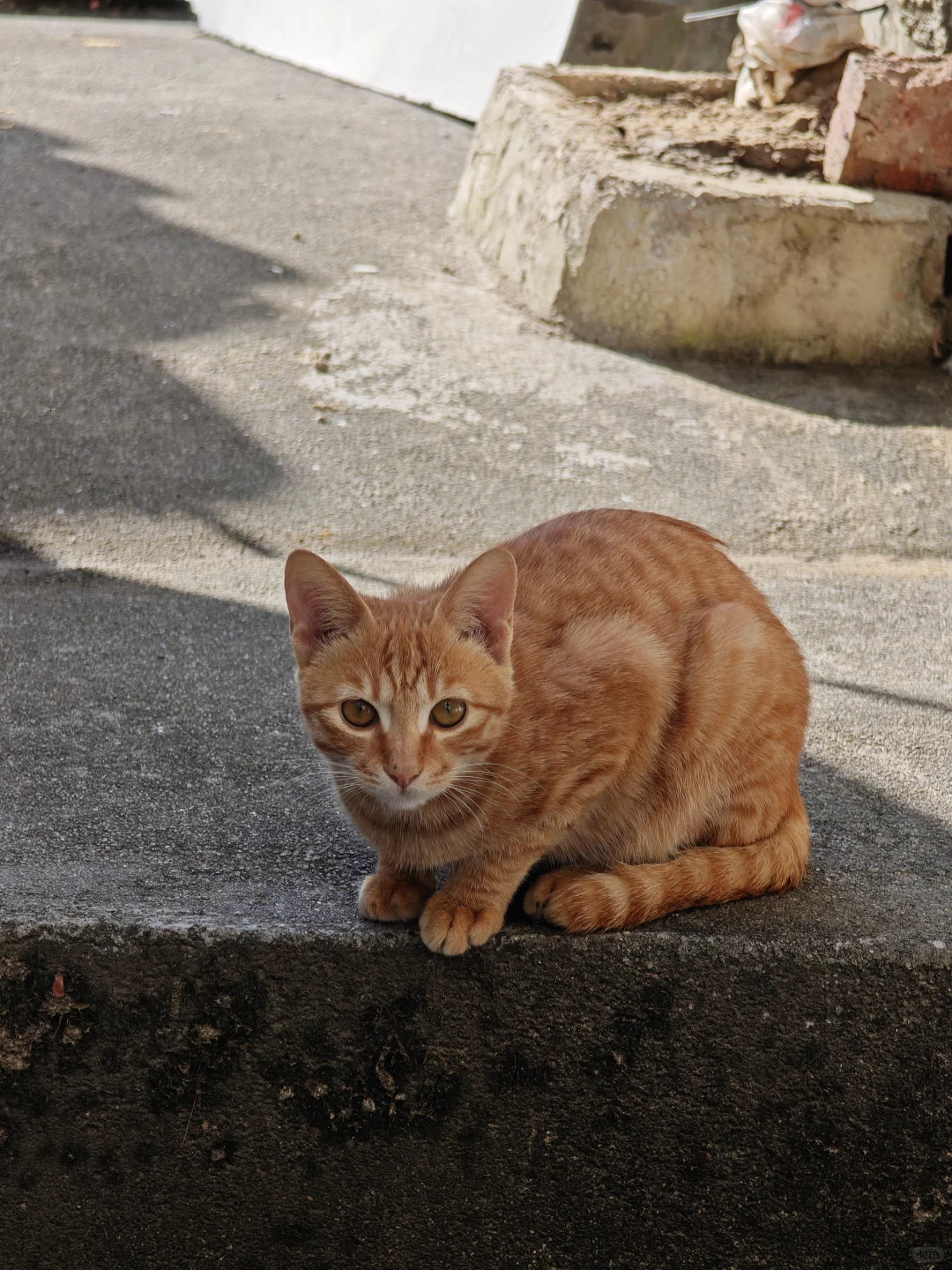 西贡村｜是他乡，也是回不去的故乡