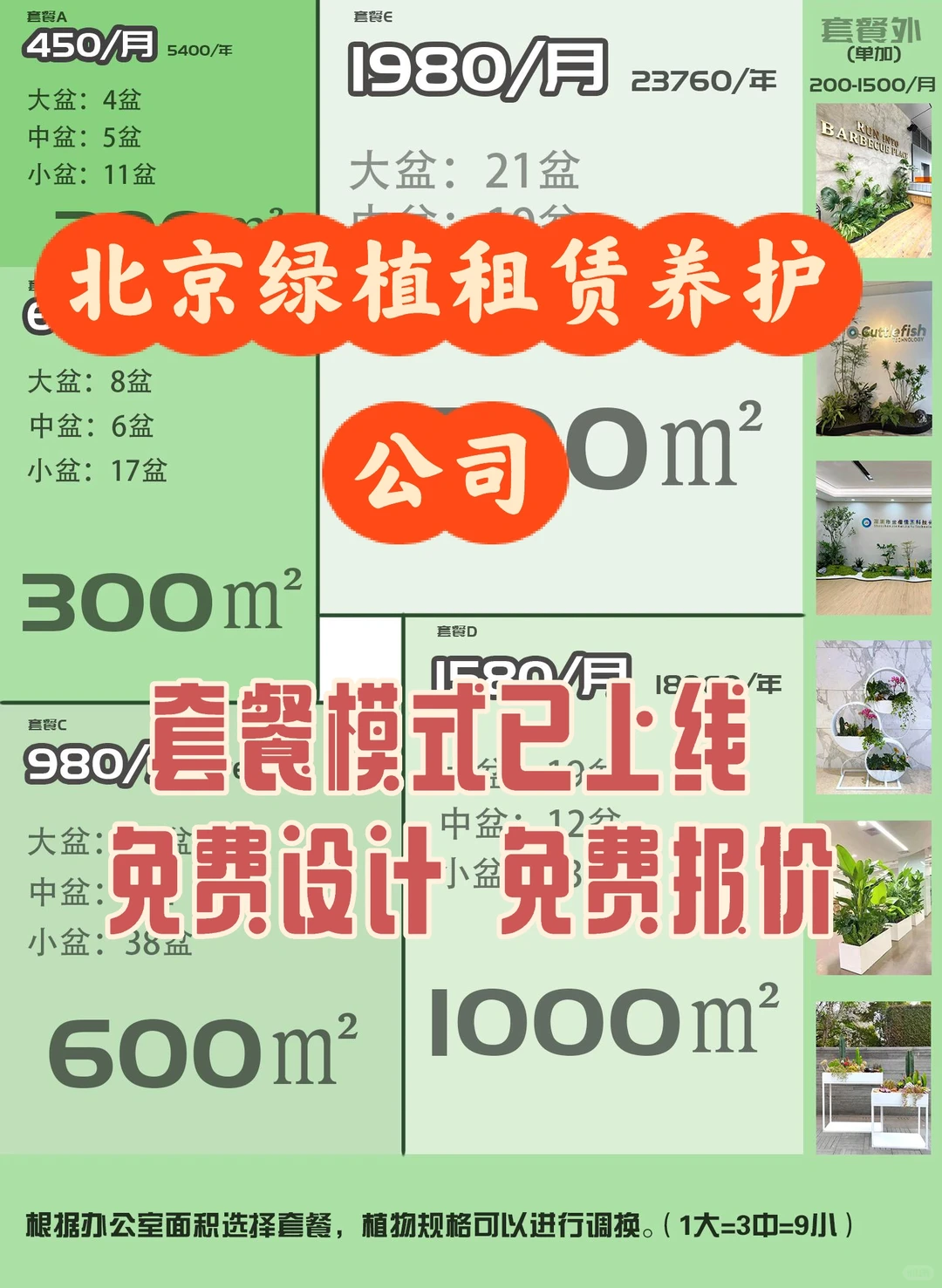 北京｜绿植租赁养护一站式服务｜套餐模式