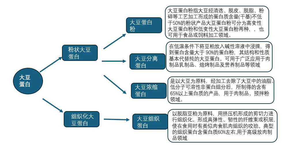 大豆的全球产业与贸易｜大豆行业的生产链