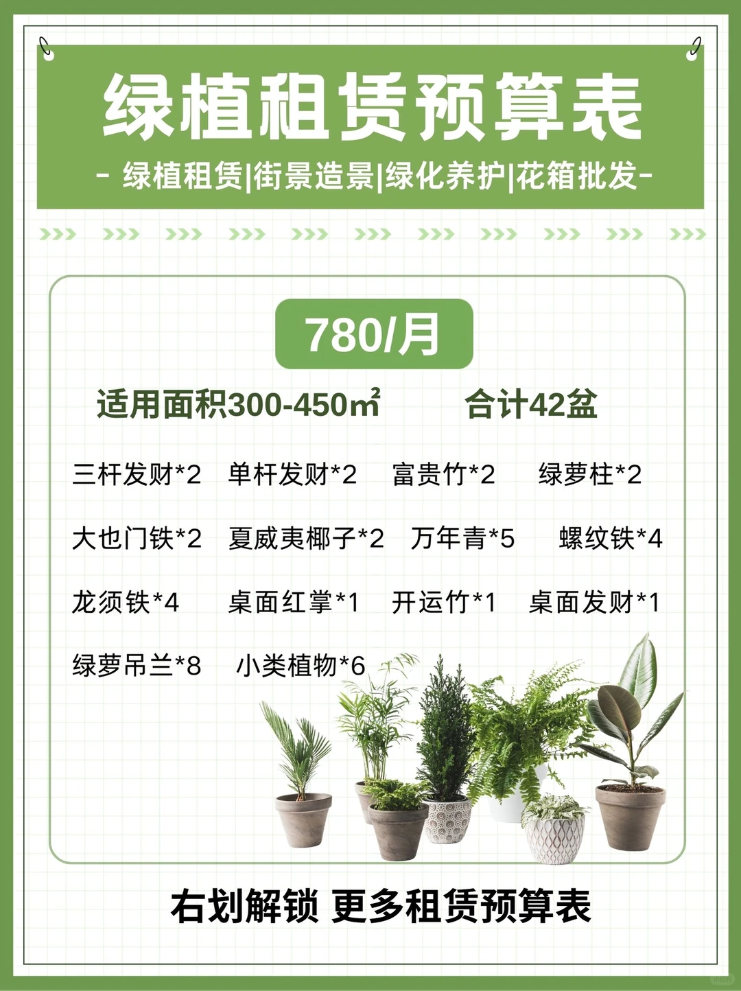 办公室绿植｜购买VS租赁，看完不再纠结！