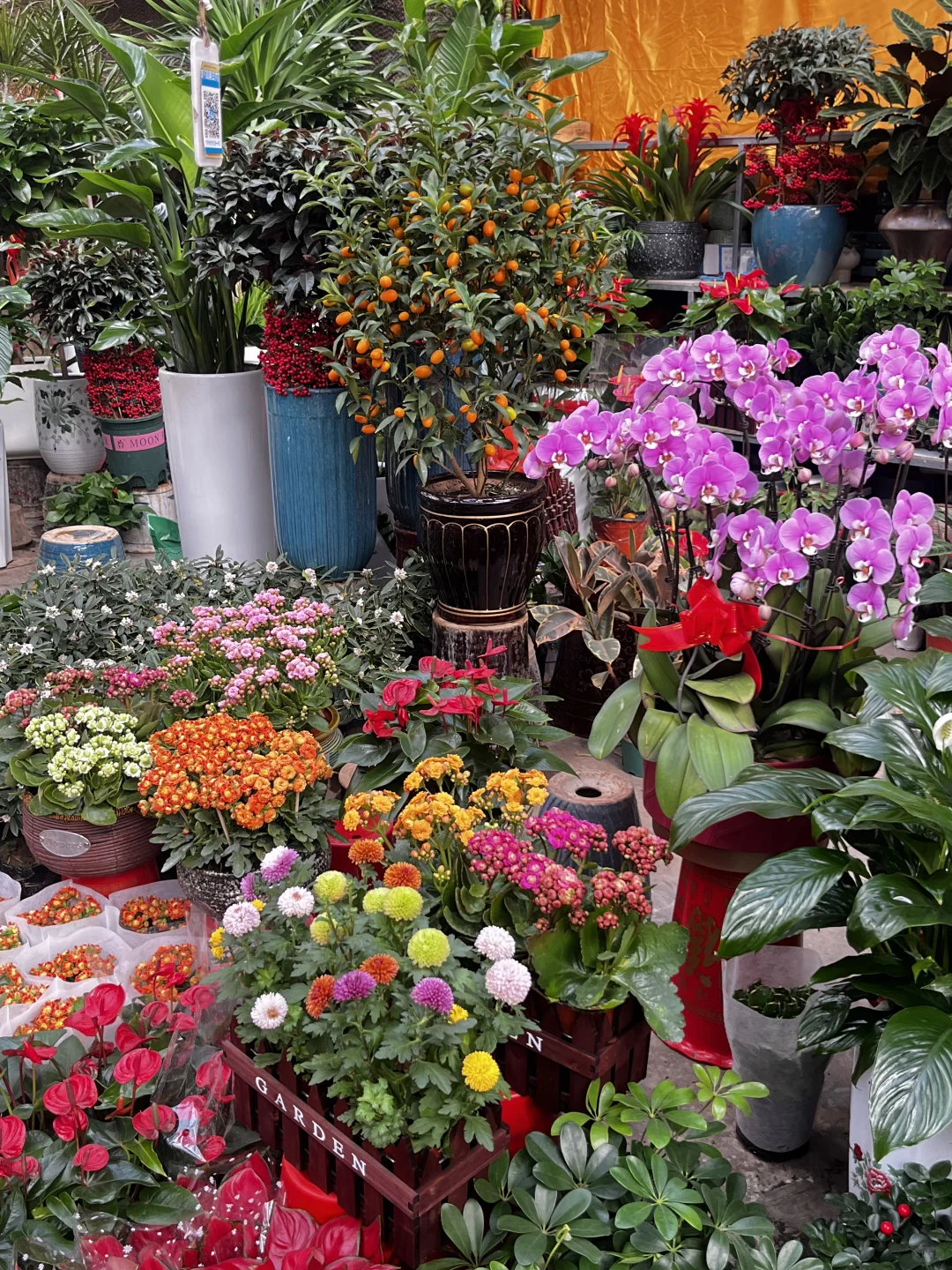 花市，春天最值得去的地方?