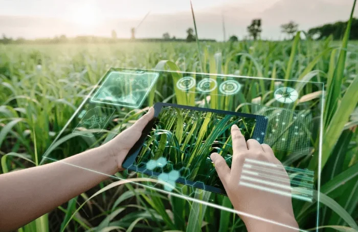 物联网在农业中的应用