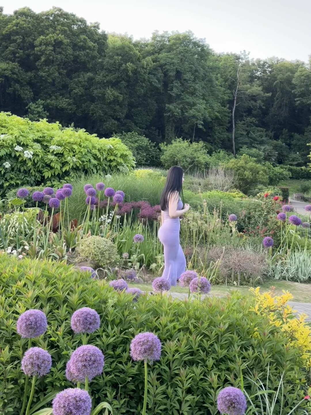 live图｜南京植物园，原来大葱花可以这么美