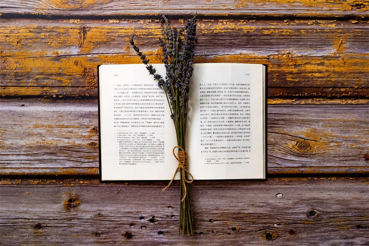 环保服务：重塑绿色未来的关键力量