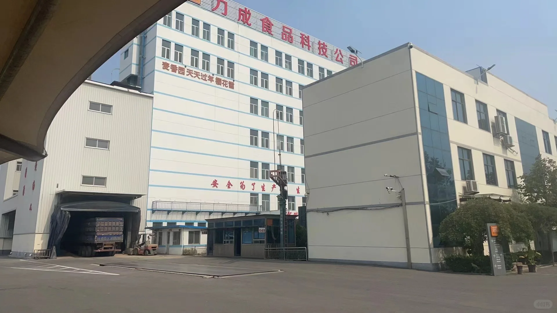 山东大型面粉厂出售