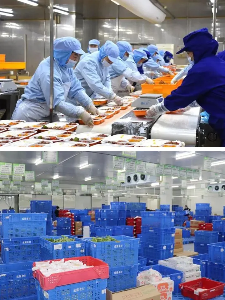 农产品供应链中的几种主要物流模式