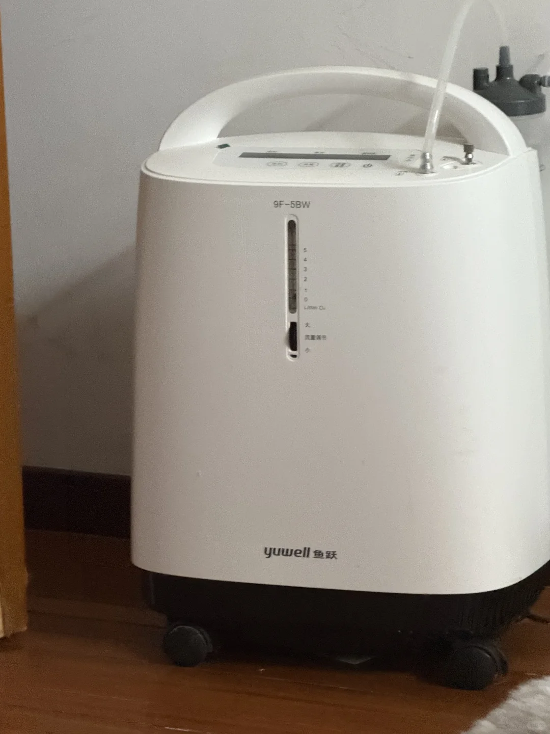 听说小红书出东西特别快