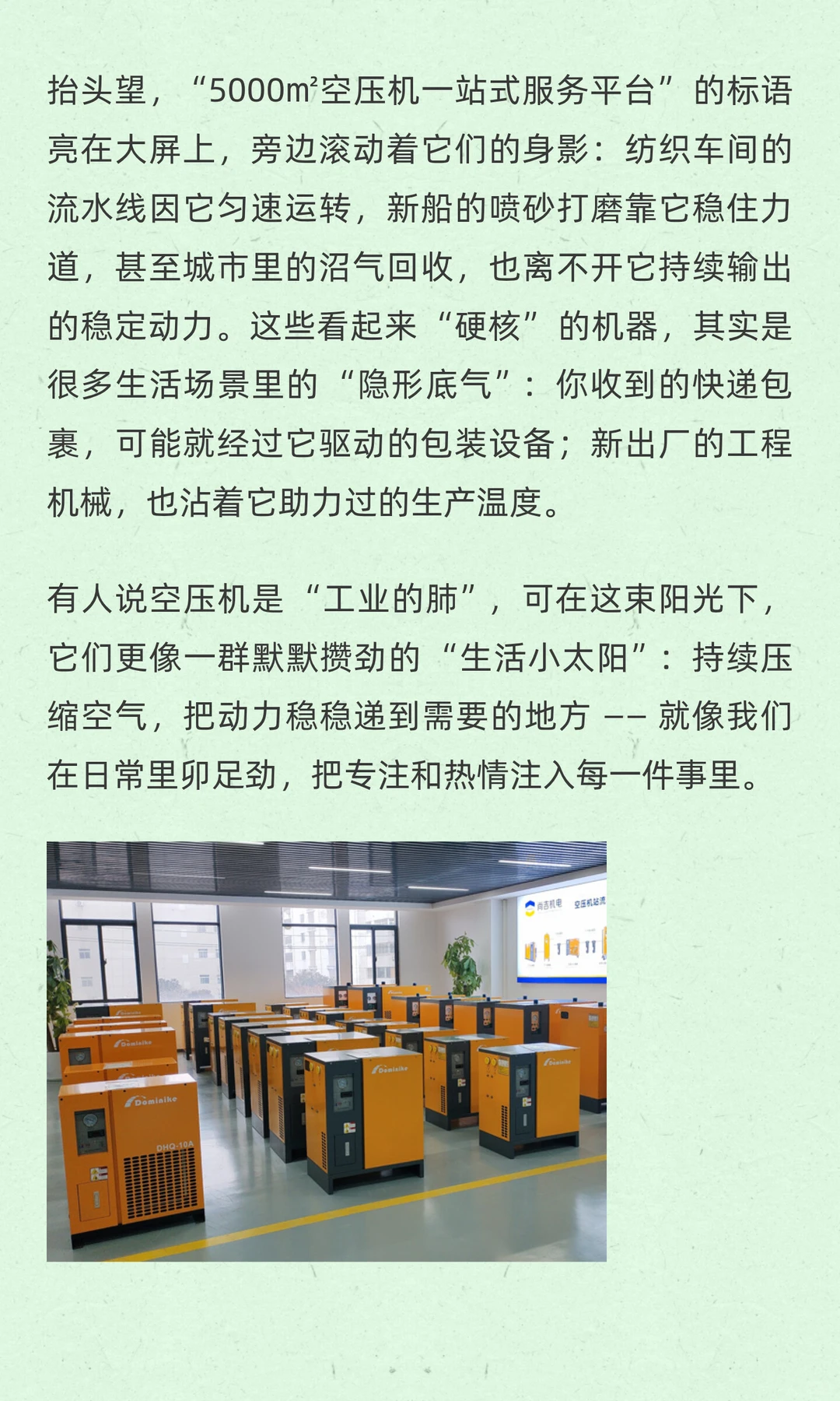 阳光下的 “动力伙伴”：让每一份努力都接