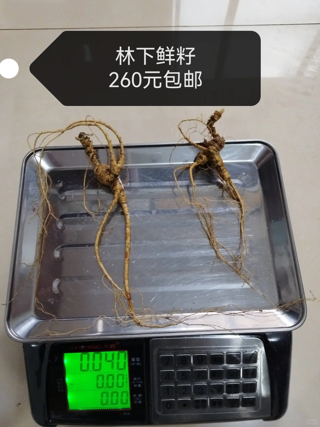 自然林下籽嘎嘎纯