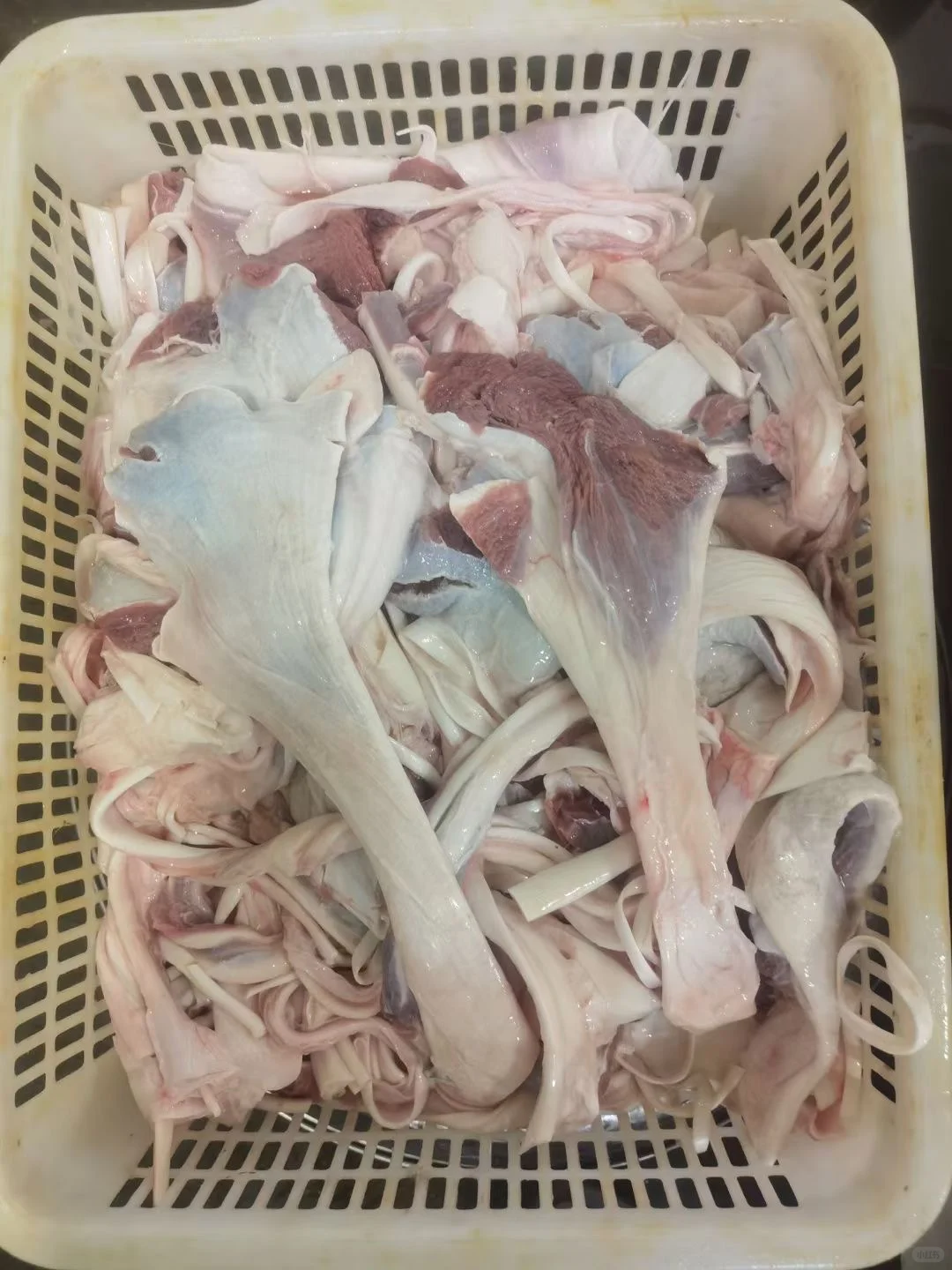 有要的鸵鸟肉的联系