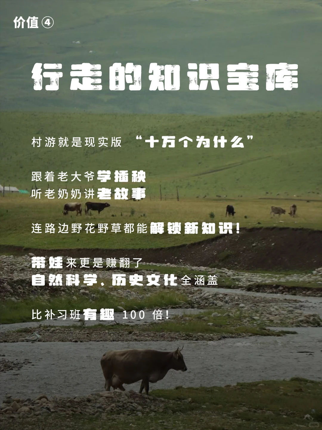 「村游」是景点打卡？乡村逆袭只靠拍照？