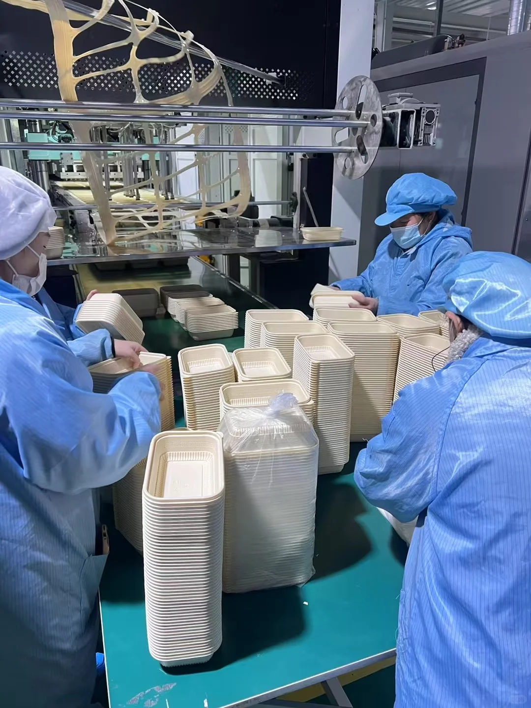 可降解餐盒的生产揭㊙️价格实惠到惊人