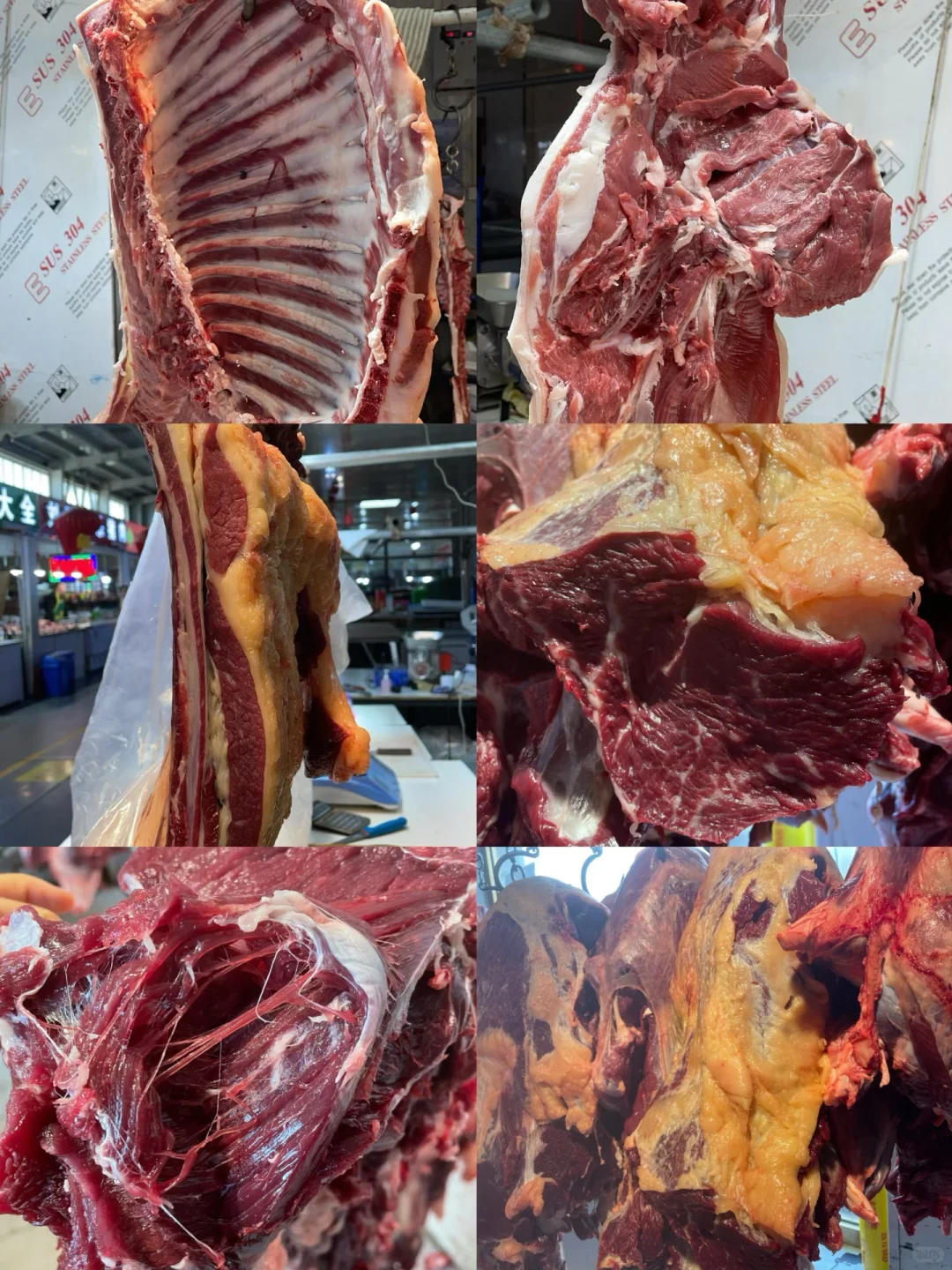 黄膘牛肉货源稳定