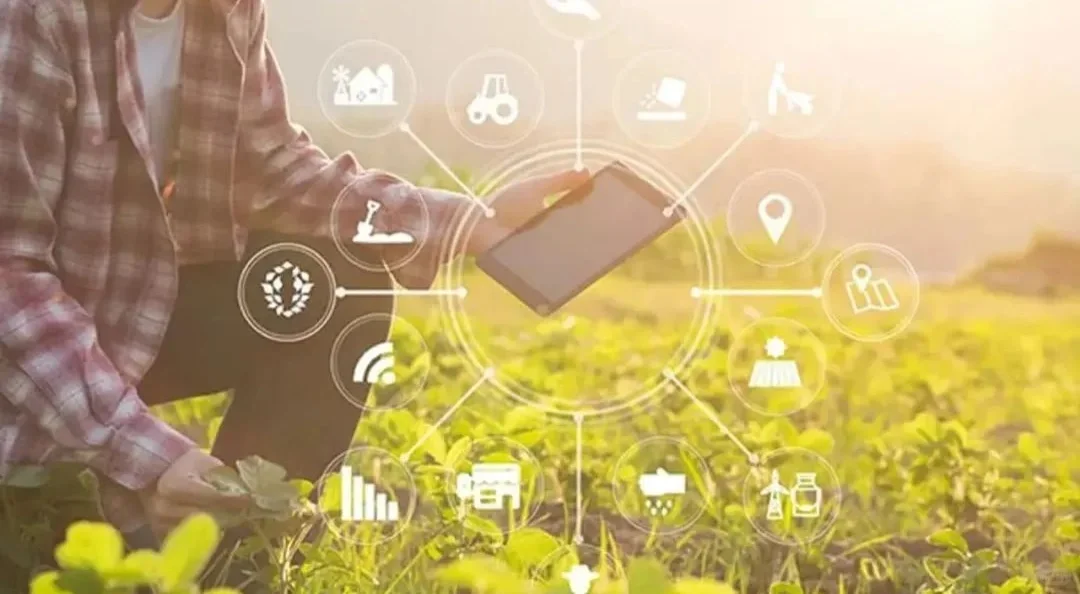 数字化让传统农业“聪明”起来