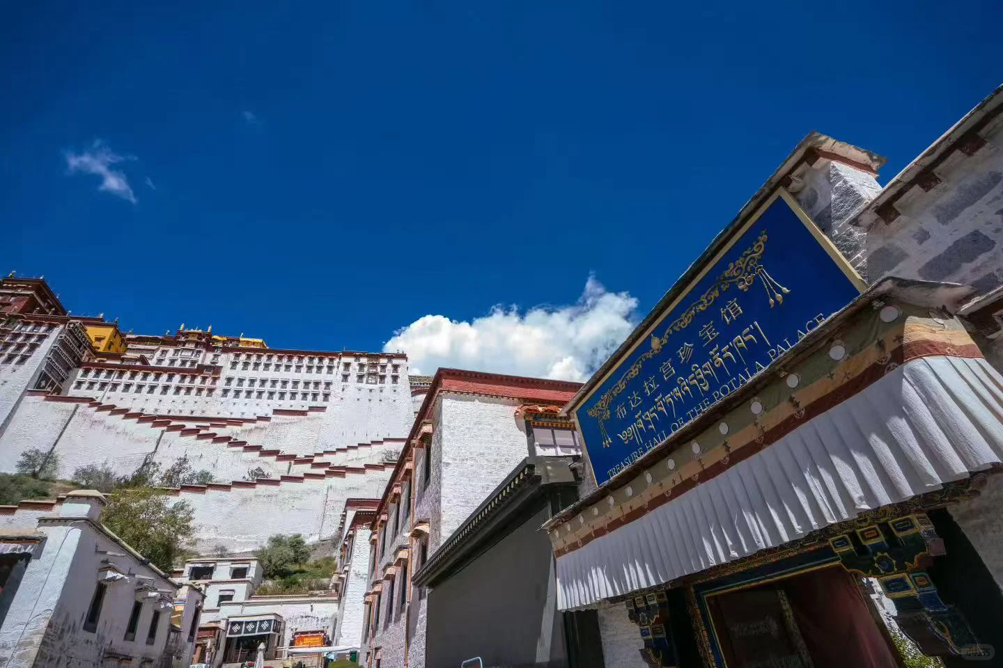 96后女生 | 沉浸式创业