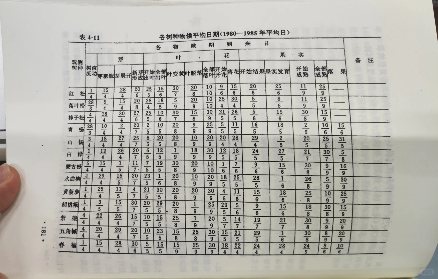 东北天然次生林主要树种物候