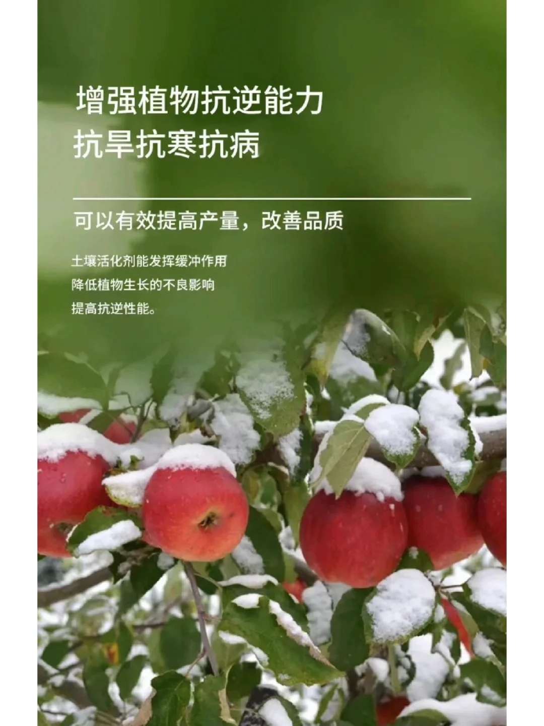 让“土”获得新生！推荐土壤活化剂