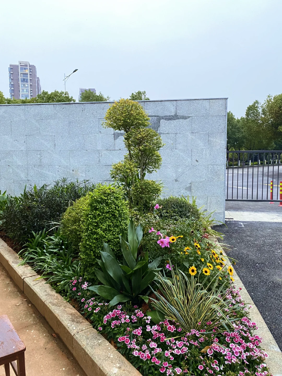 这小区也太好看了吧