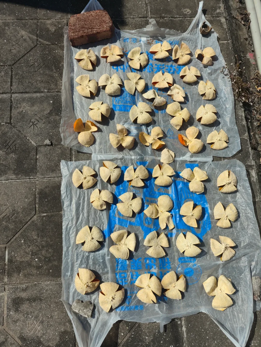 川橘二红皮制作买家秀～