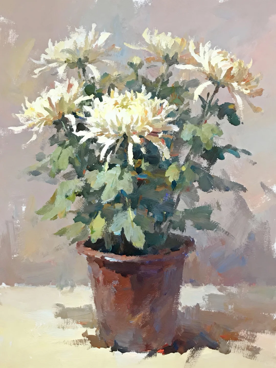 花卉绿植联考常考的花卉合集