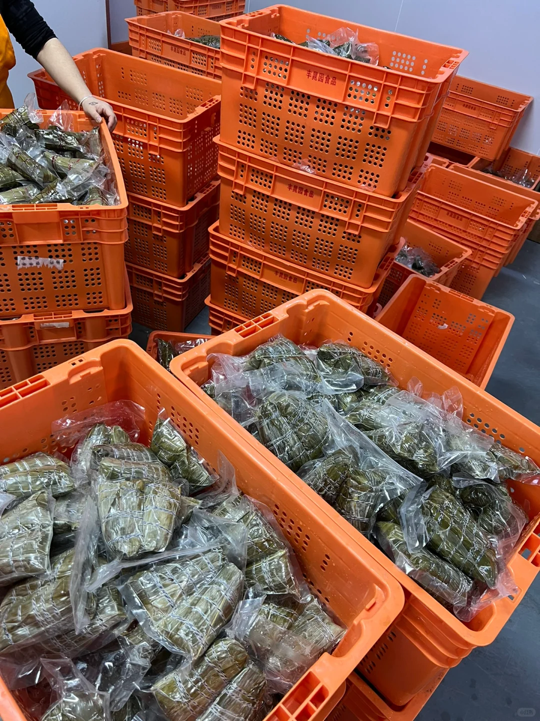 全网粽子工厂都在用的一张包粽车间图