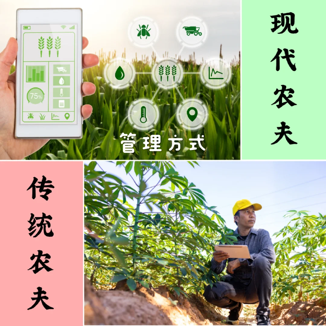 ??未来农业的新面貌！！！