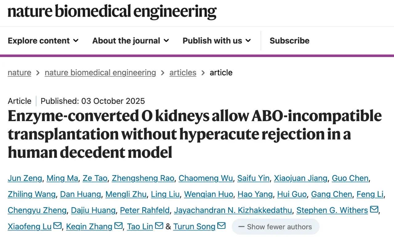 世界首例！我国科学家创造出通用O型肾脏！