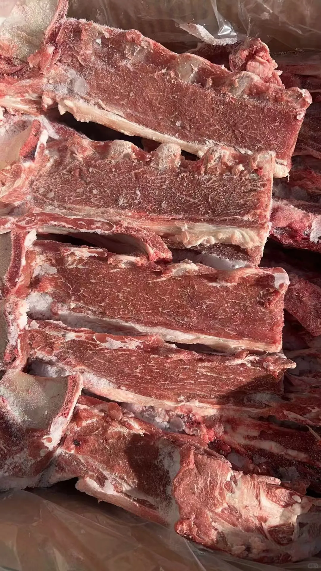 内蒙古锡林浩特 新鲜牛羊肉