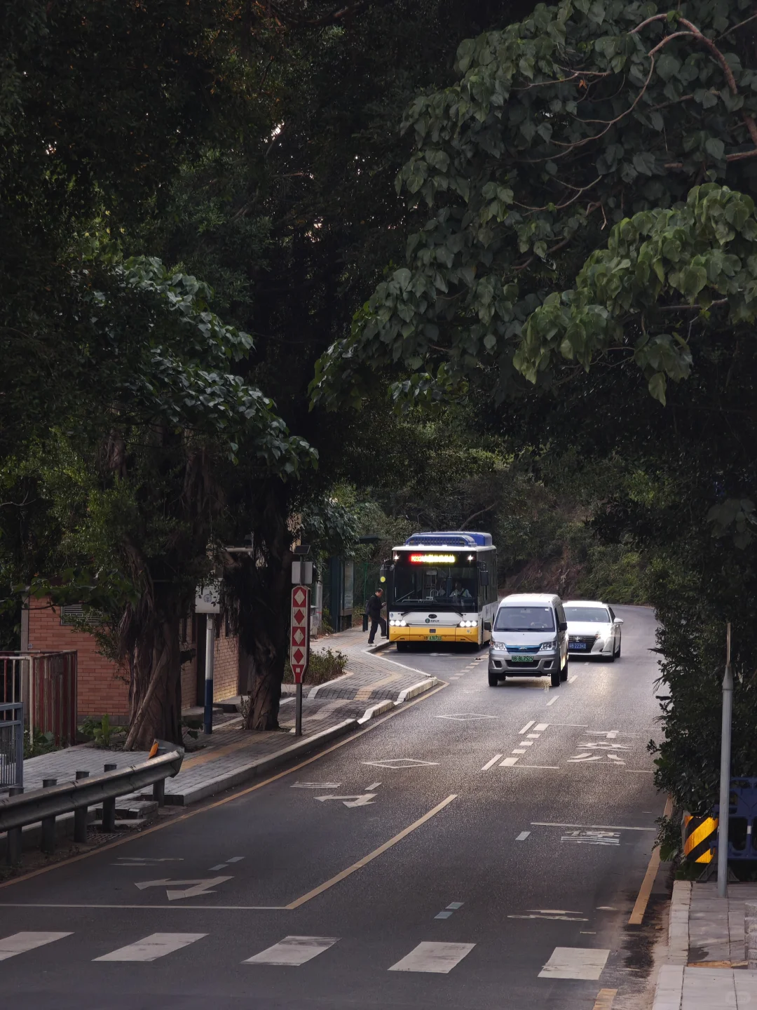 西贡村｜是他乡，也是回不去的故乡