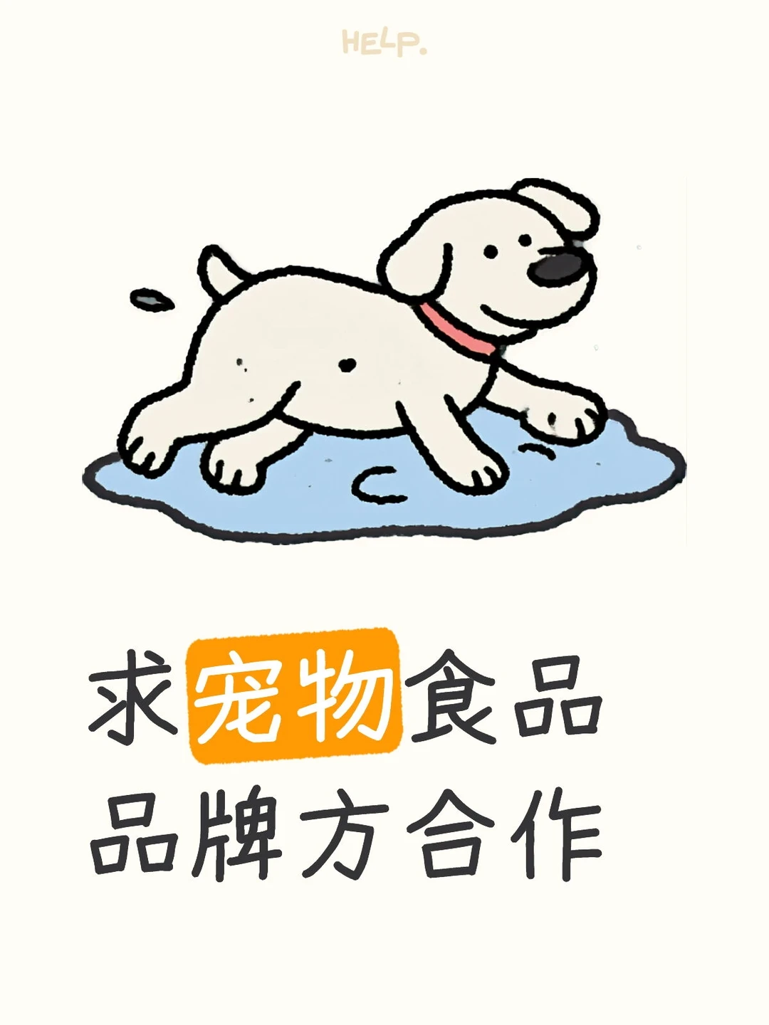求宠物食品品牌方合作