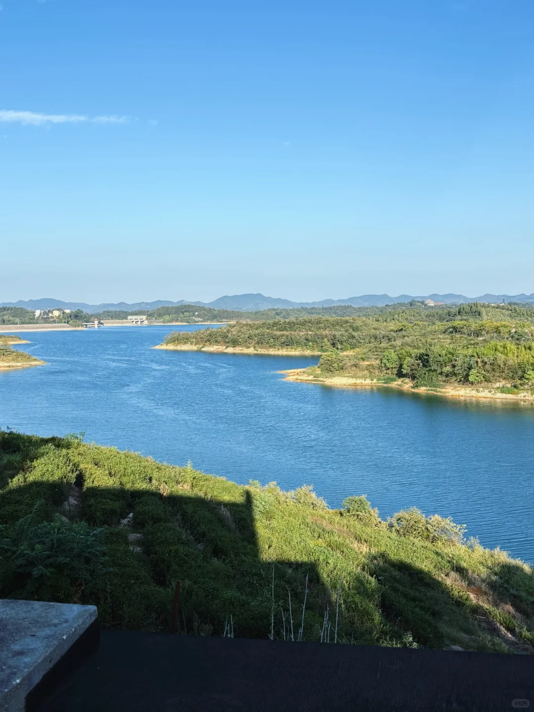 ?6000亩云雾油茶林｜问顶康源溯源之旅