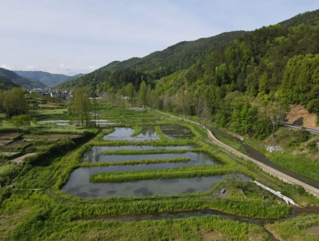 全国生态日后看水基金如何保护水生态?