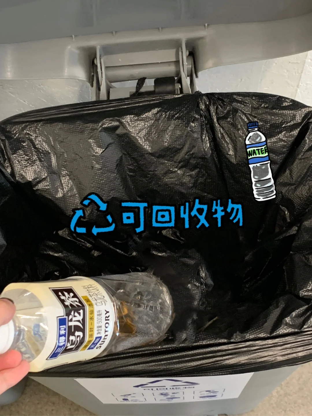 可持续生活|日常低碳行为打卡♻️