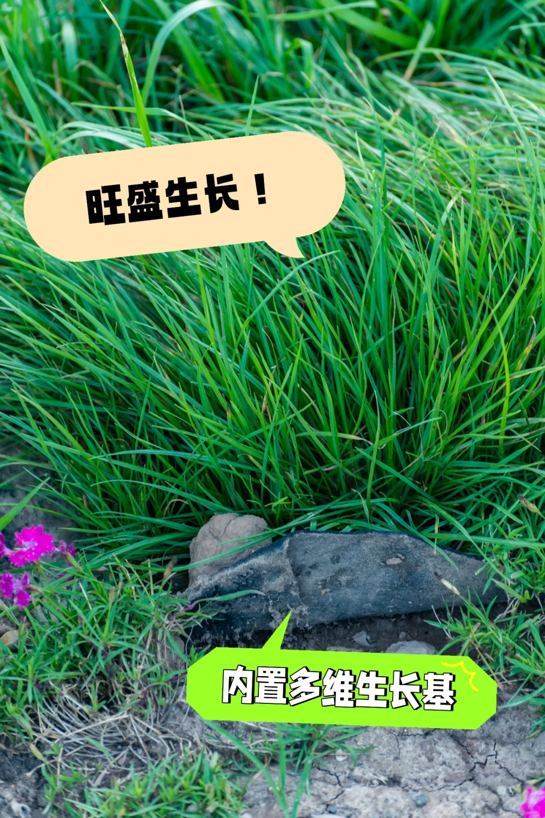 我们在做一种很新的生态修复