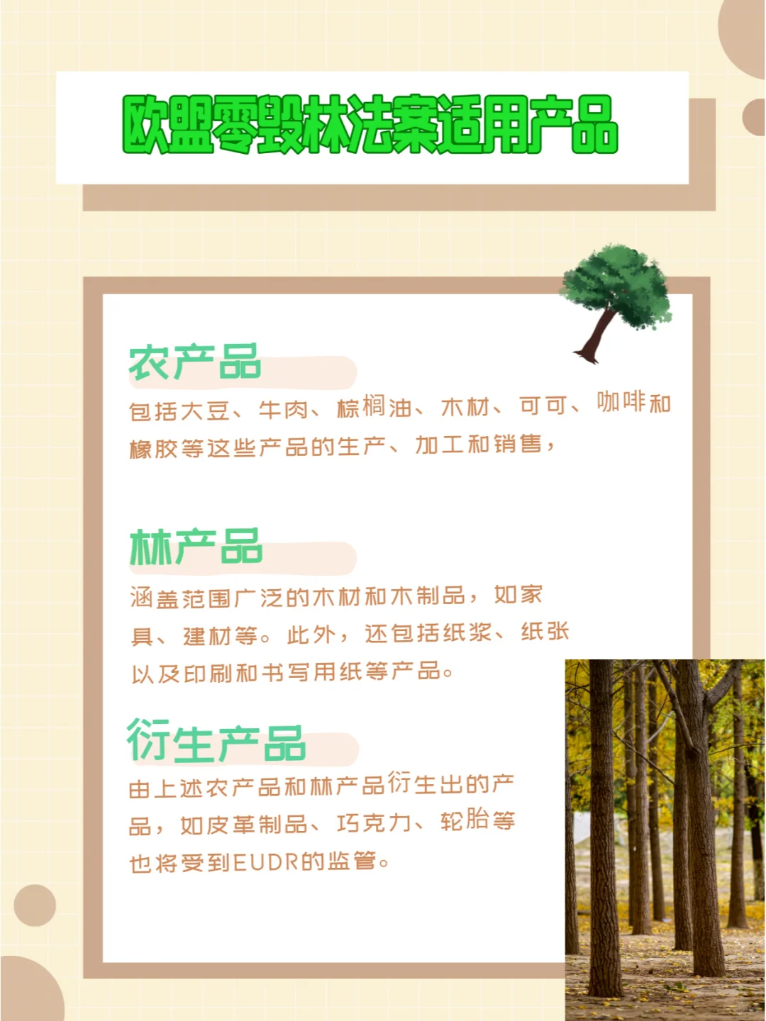 欧盟零毁林法案（EUDR）适用产品